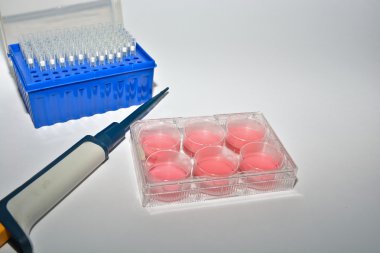 Hücresel teknolojiyi kullanan bilimsel Biyolojik araştırma. 