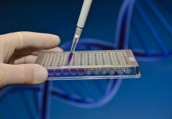 DNA testing in the laboratory. — Stock Photo, Image
