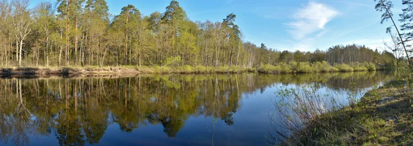 Panorama rio floresta primavera . — Fotografia de Stock