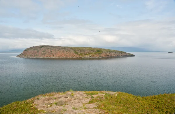 Insel im See. — Stockfoto