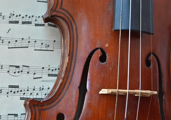 German ancient violin and notes. — Stock Photo, Image