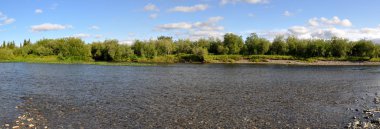 Panoramik nehir manzara polar Urallarda. 