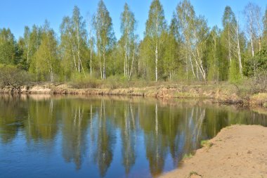 Nehir bahar yatay milli parkta 