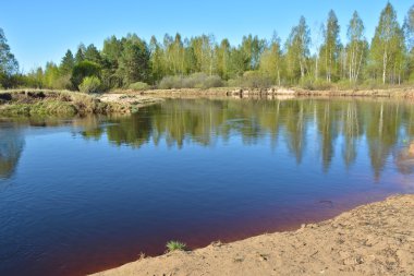 Nehir bahar yatay milli parkta 