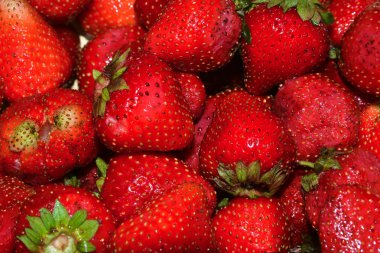 Olgun kırmızı çilekler.