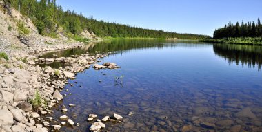 Panorama, vahşi Ural Nehri.