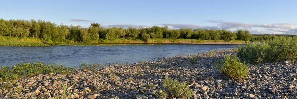 Paysage fluvial panoramique dans l'Oural polaire . — Photo