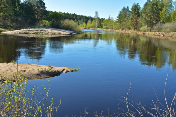 Lente. De rivier in het Nationaal Park "Rjazan Meschera". — Stockfoto