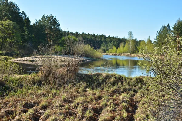 Весной. Река в национальном парке "Рязань Мешера ". — стоковое фото