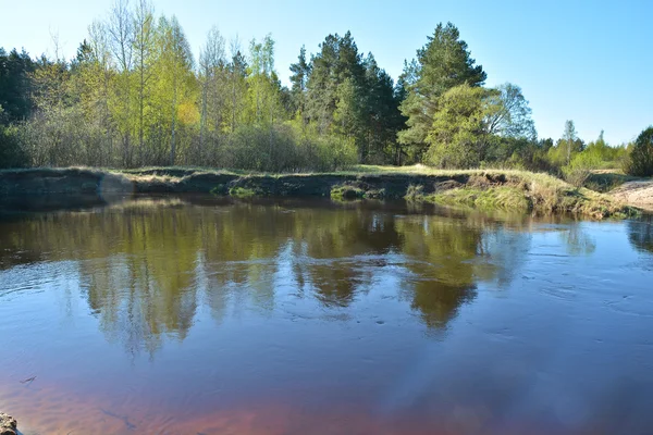 Rivierlandschap van het voorjaar in het Nationaal Park "Rjazan Meschera". — Stockfoto