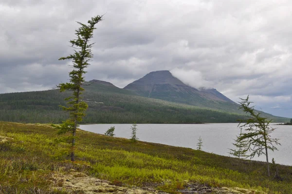 Le montagne del lago . — Foto Stock