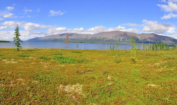 Panorama mountain lakes on the Putorana plateau. — Stock Photo, Image
