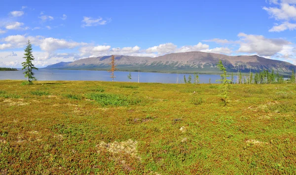 Putorana 高原全景的高山湖泊. — 图库照片