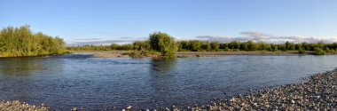 Panoramik nehir manzara polar Urallarda. 