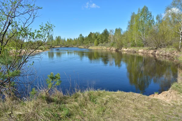 Begin mei op een beschermde rivier. — Stockfoto