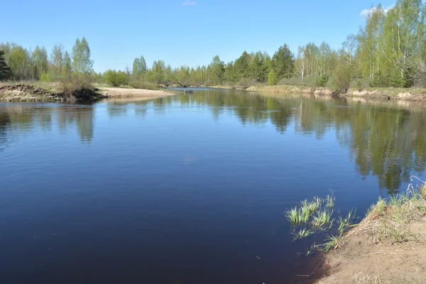 The beginning of may on a protected river. — Stock Photo, Image