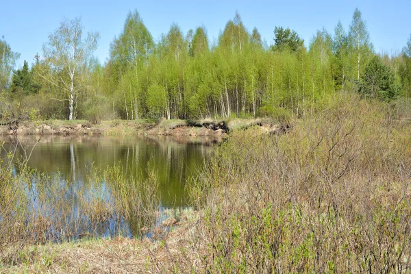 이른 봄에서 아름 다운 강. — 스톡 사진