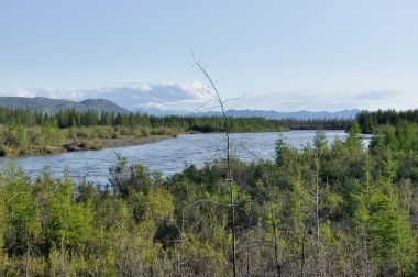 Nehir ve dağ ile manzara.