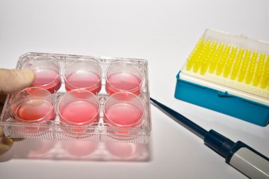 Laboratuvar araştırma hücre teknolojileri.