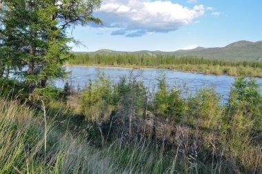 Nehir ve dağ ile manzara.