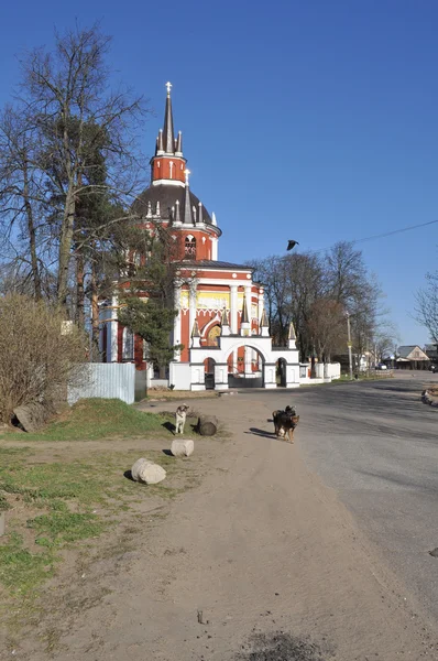 Eglise Saint-Nicolas village de Tsarevo . — Photo