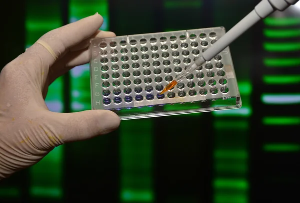 Dna genetik laboratuvarlarda test. — Stok fotoğraf