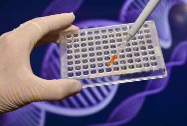 Dna genetik laboratuvarlarda test. 