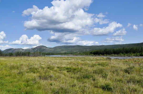 Swampy plain under the blue sky. — Stock Photo, Image