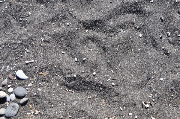 The texture of the sand on the beach. — Stock Photo, Image