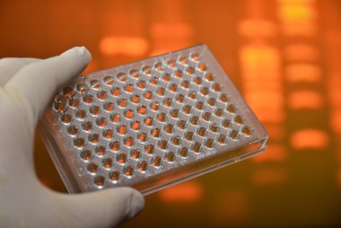 Dna testi. 