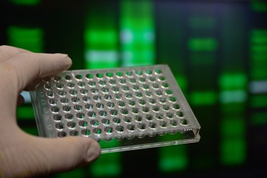 Dna testi. 