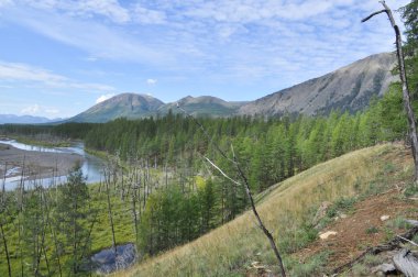 dağ nehir ile yüksek bir kayalığın geniş vadi.