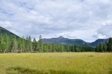 geometrische abstracte veelkleurige sieraad achtergrond. a-0164.