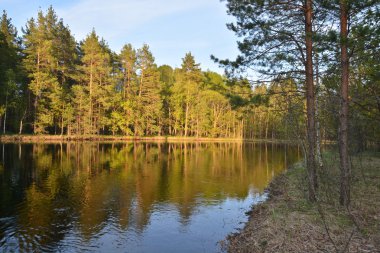 Bahar akşam Nehri üzerinde. 