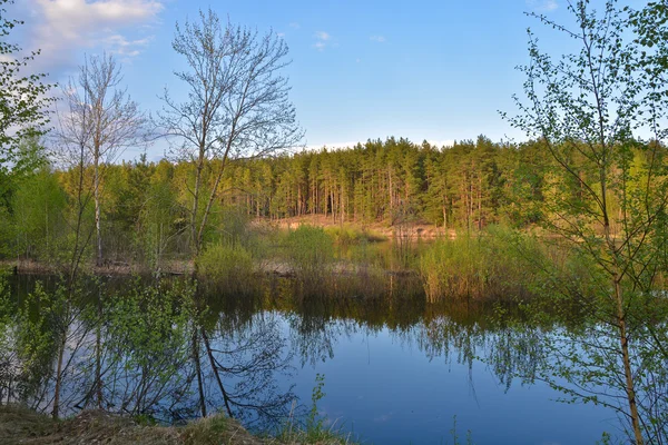 Spring evening on the river. — Stock Photo, Image