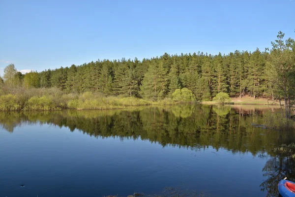 Våren på floden. — Stockfoto