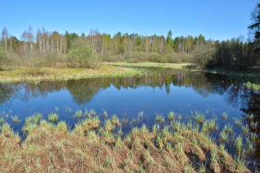İlkbaharın başlarında nehir manzarası.