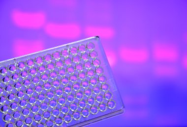 Dna genetik laboratuvarlarda test. 