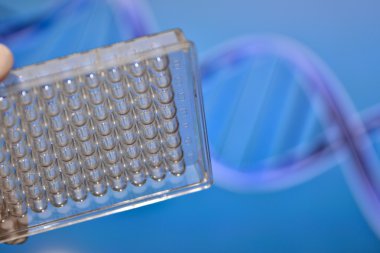Dna genetik laboratuvarlarda test. 