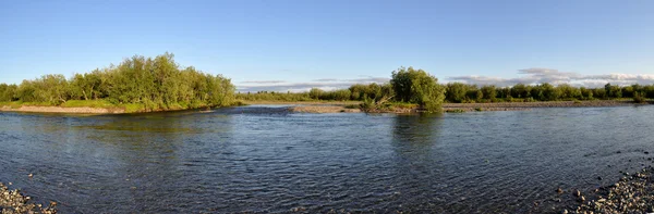 Paysage fluvial panoramique dans l'Oural polaire . — Photo