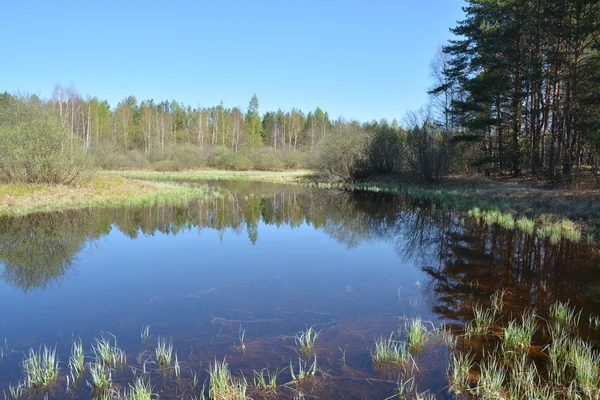 Le printemps. Matin sur la rivière . — Photo