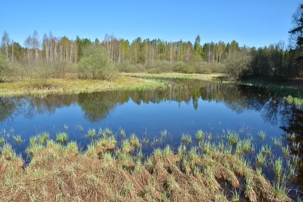 Rivierlandschap in het vroege voorjaar. — Stockfoto