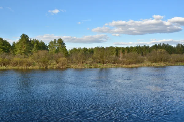 Spring on the river. — Stock Photo, Image