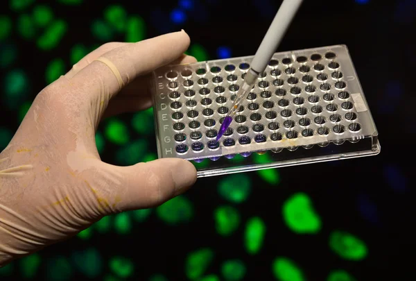 Dna genetik laboratuvarlarda test. 