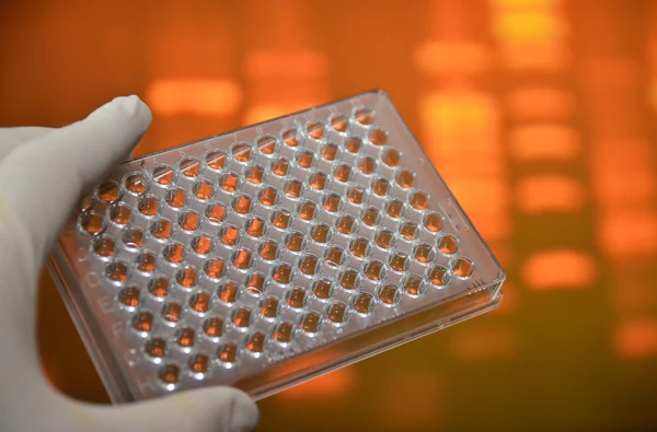 Dna genetik laboratuvarlarda test. 