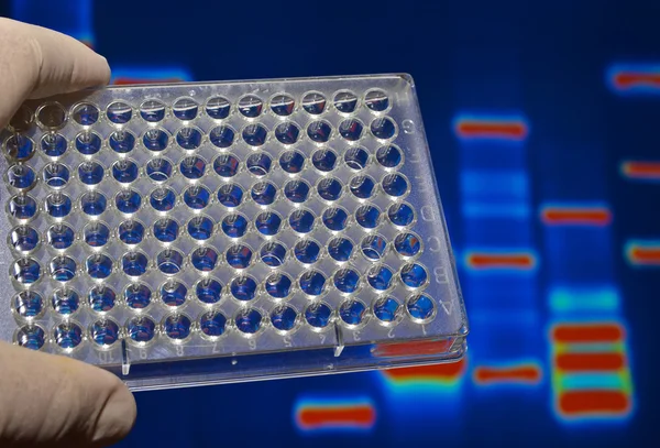 DNS-vizsgálat a genetikai laboratórium. — Stock Fotó