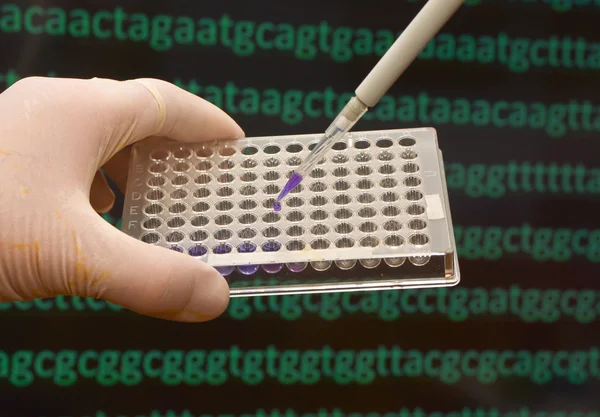 Test del DNA in un laboratorio scientifico . — Foto Stock