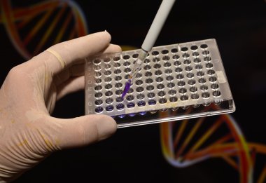 Dna bilimsel bir laboratuvar testi.