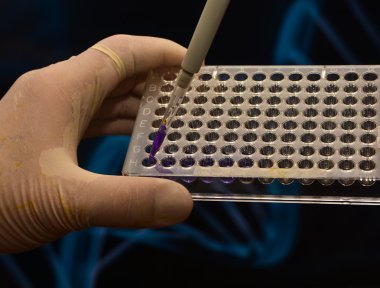 Dna bilimsel bir laboratuvar testi.