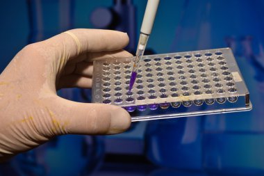 Dna bilimsel bir laboratuvar testi.